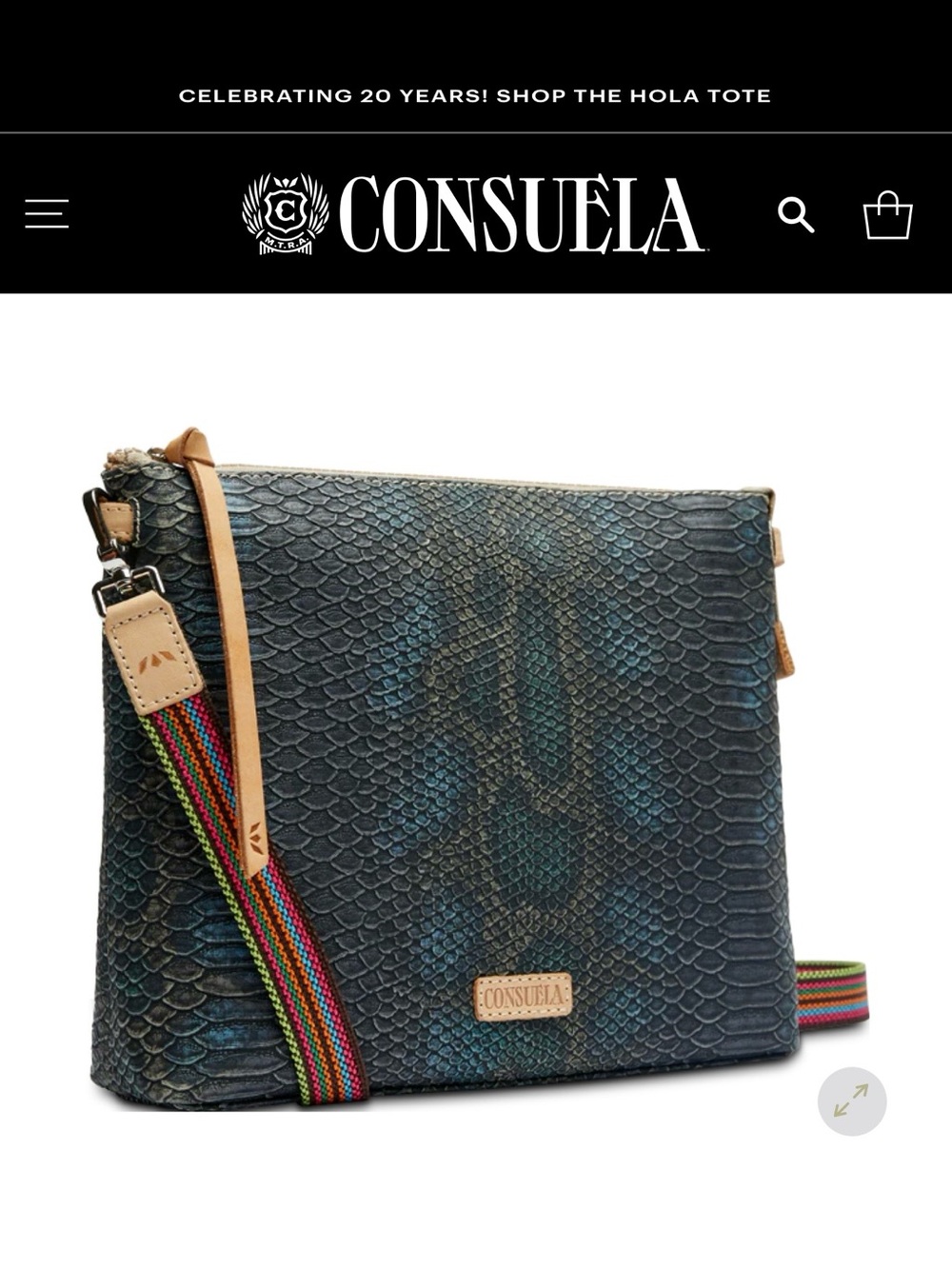 Consuela Rattler Downtown Crossbody with Multicolor Strap